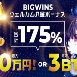ビッグウィンカジノ